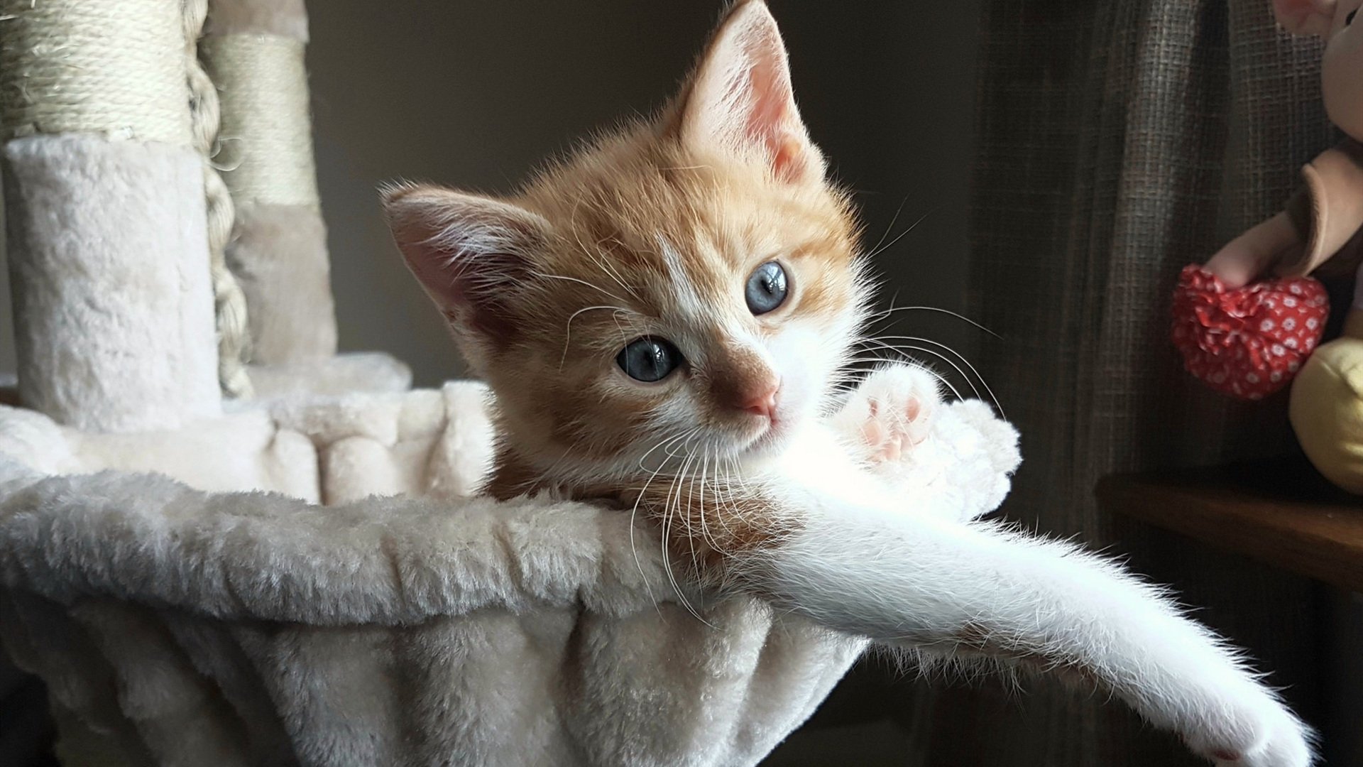 篮球运动员专项心理训练课程设计与开发,篮球运动员的心理选材