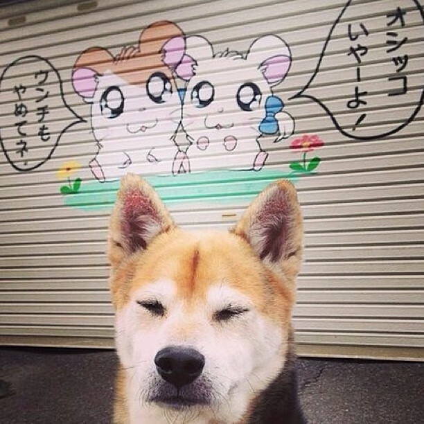 足球大事件:2024世俱杯最值得期待的亮点,2022年国际足联世俱杯