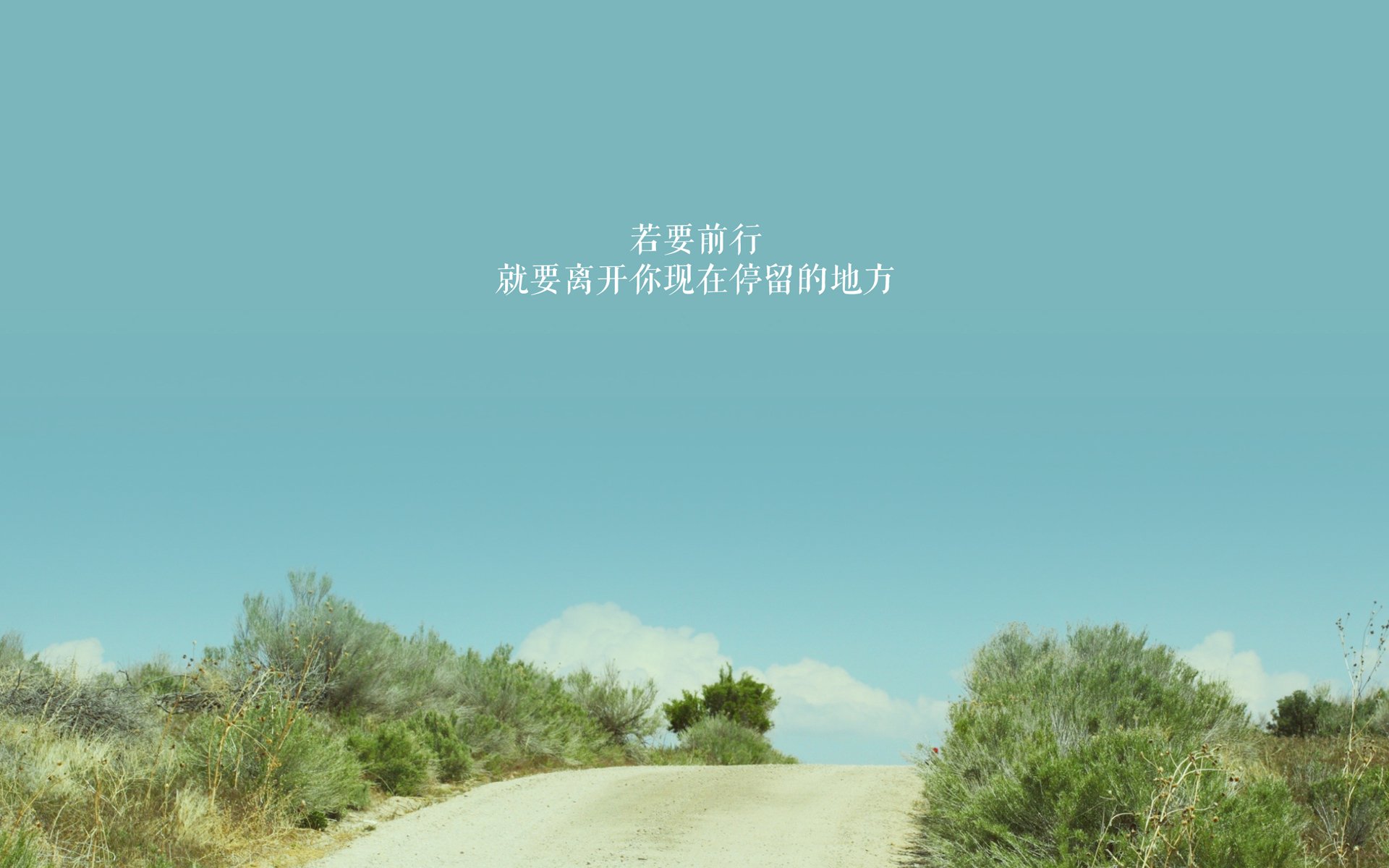 “跑酷赛道：东安湖体育公园极速冲刺，运动员决战极限”