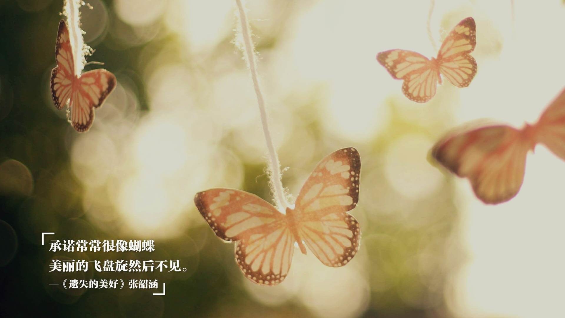 东亚杯中国足球惨败 球迷呼吁战术改革，东亚杯国足成绩