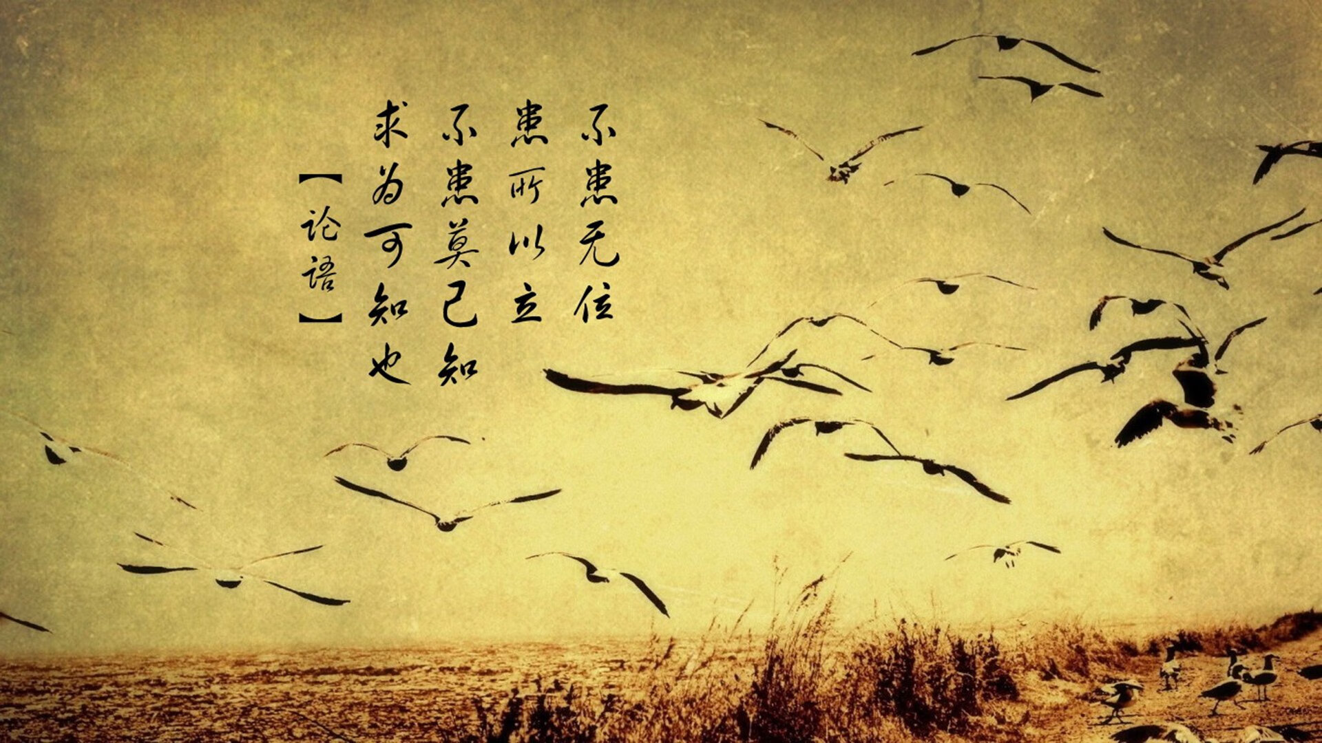 中国女篮多点开花 攻防均衡发展,中国女篮的情况