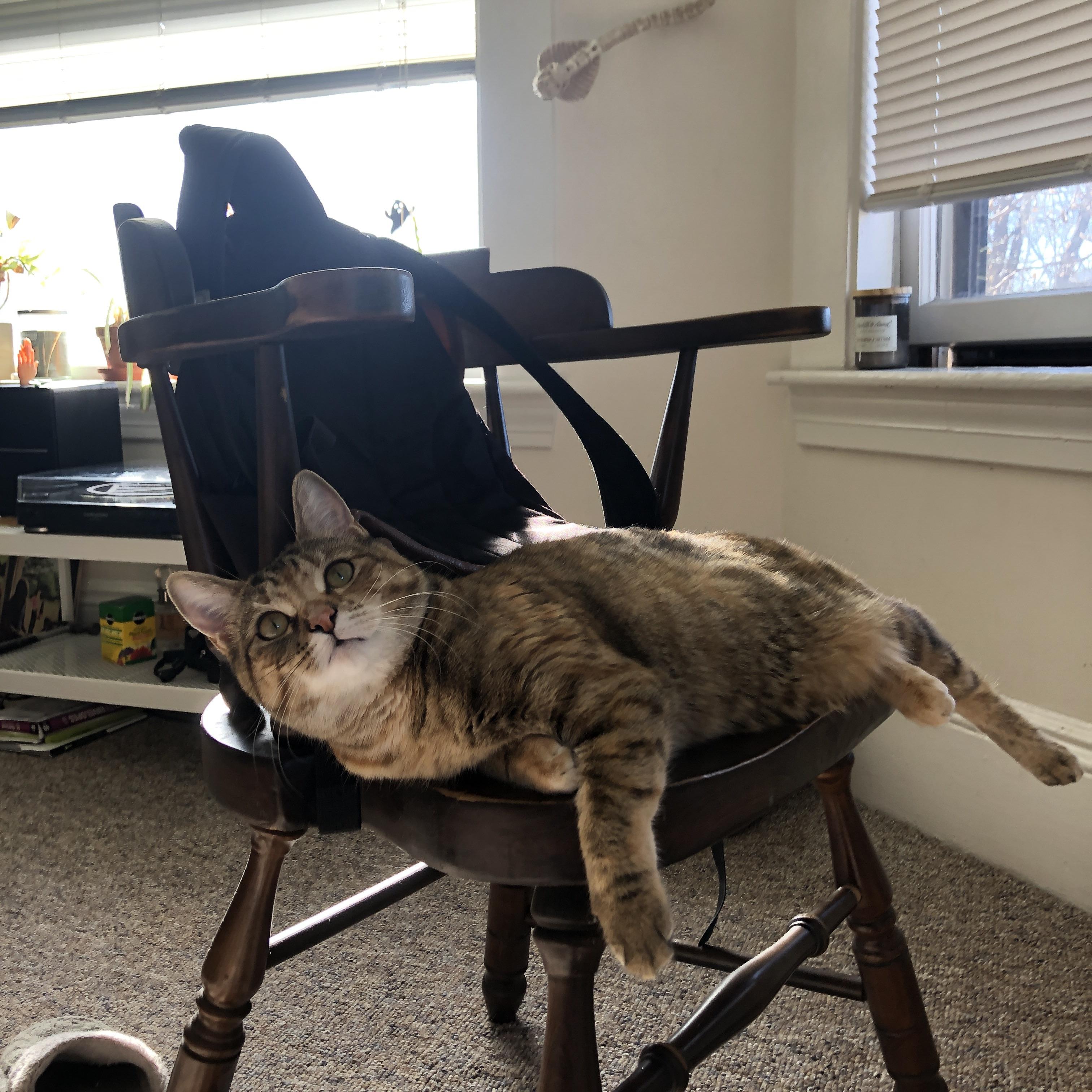 中超联赛中国足球逆袭 球员表现令人惊艳,中超 队伍