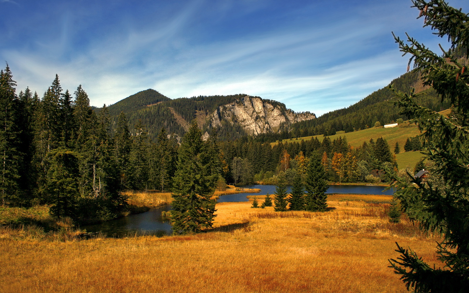 五大联赛球迷观赛习惯如何催动直播互动创新,球赛观众喊的啥