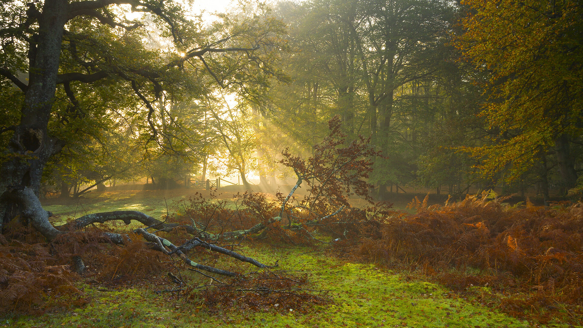亚冠联赛中国青年队战平 球员心理素质提升,2021亚冠 青年队