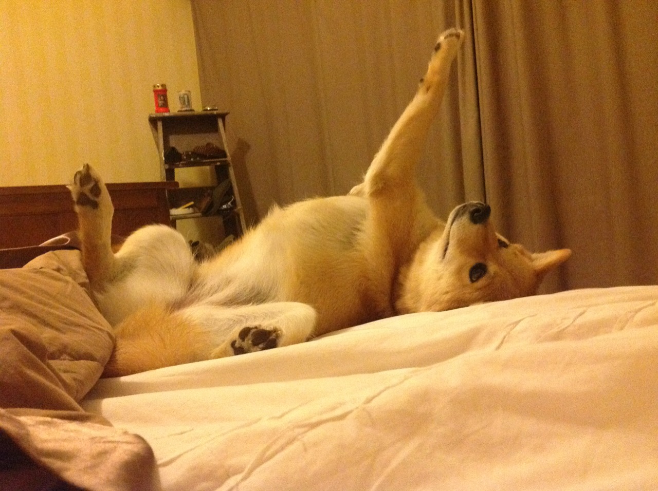 勒沃库森整体传跑配合达成压倒性优势，勒沃库森lg