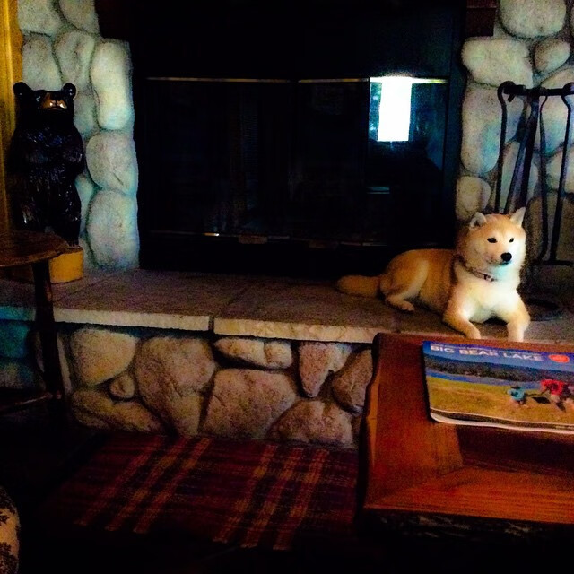 国际足坛快报巴萨新援首秀即建功,巴萨引援计划